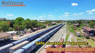 Tanzania Livestock Wagon Safe Transport